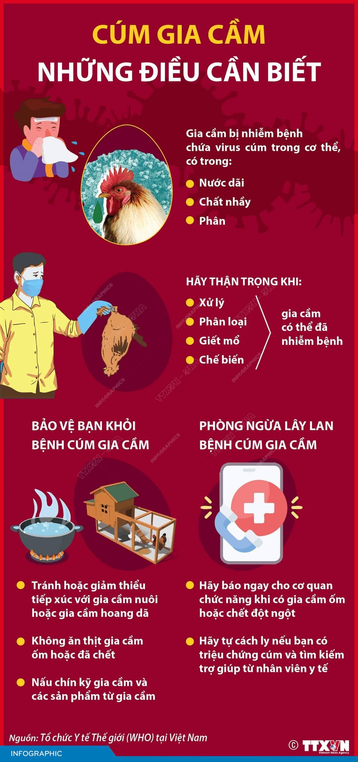 Những điều cần biết về Cúm gia cầm